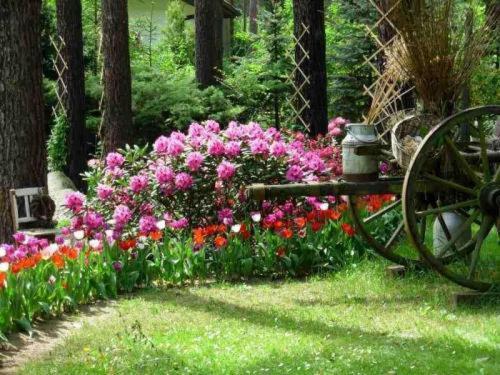 Pension Tannenspitze Wittenberg ภายนอก รูปภาพ